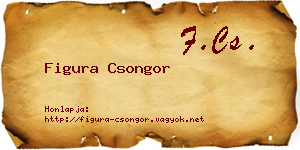 Figura Csongor névjegykártya