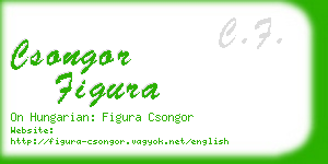 csongor figura business card